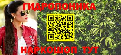 гидропоника Кингисепп