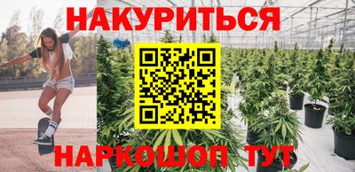 стафф Кинель