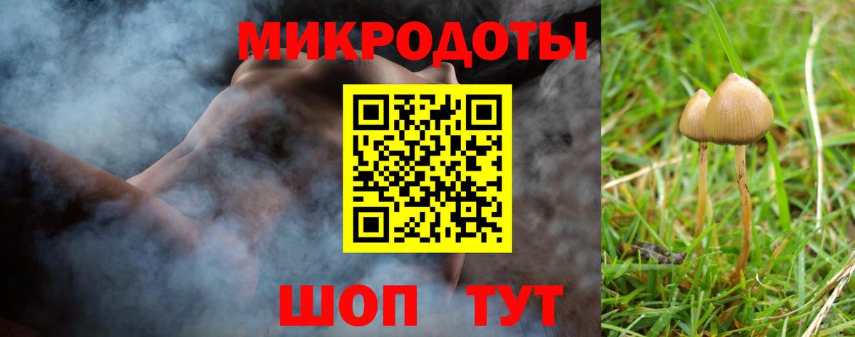 Волжский  Галлюциногенные грибы прущие грибы  Вход с VPN 
